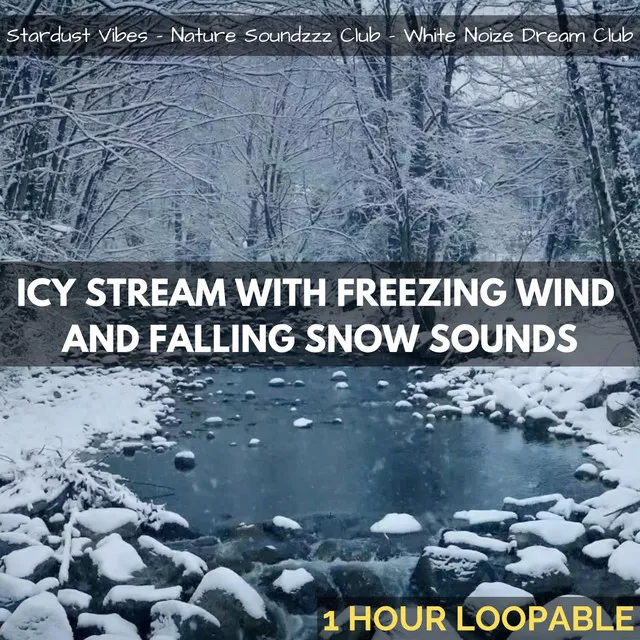 Icy Stream with Freezing Wind & Falling Snow Sounds: One Hour (Loopable)