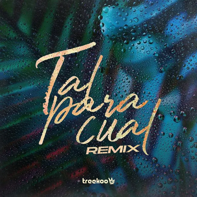 Tal Para Cual - Remix