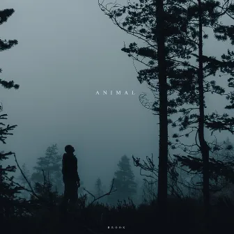 Animal by Brook