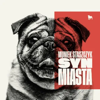 Syn Miasta by Muniek Staszczyk