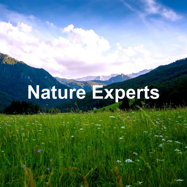 Nature Experts