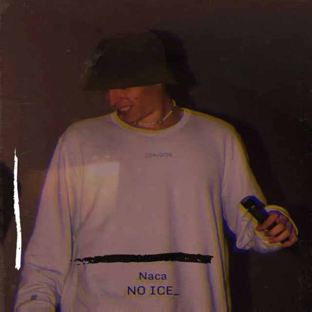 NO ICE