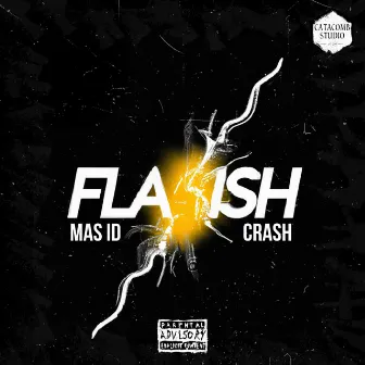 FLASH by Crash