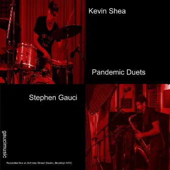 Pandemic Duets by kevin shea