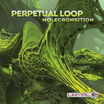 Molecronsition by Perpetual Loop