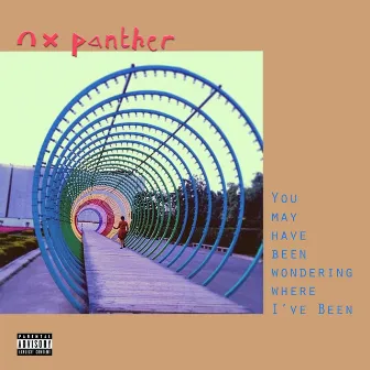 You May Have Been Wondering Where I've Been by NX Panther