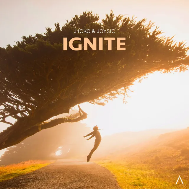 Ignite