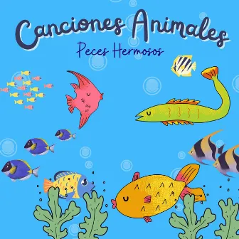 Peces Hermosos by Canciones Animales