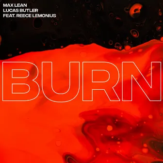 Burn by Reece Lemonius