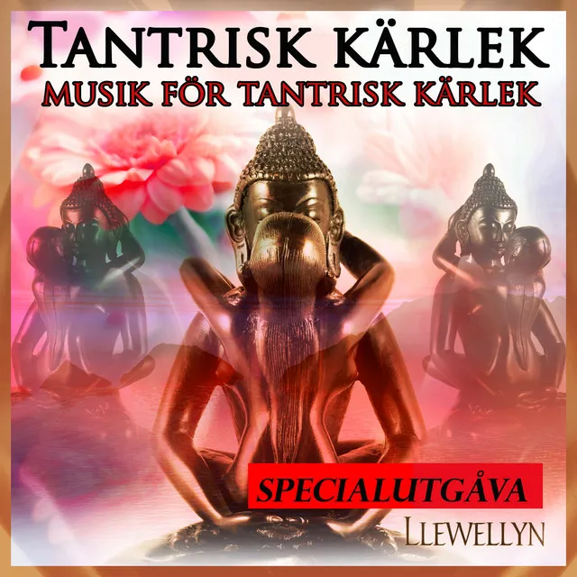 Tantrisk kärlek: musik för tantrisk kärlek: specialutgåva