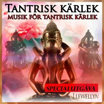 Tantrisk kärlek: musik för tantrisk kärlek: specialutgåva by Llewellyn