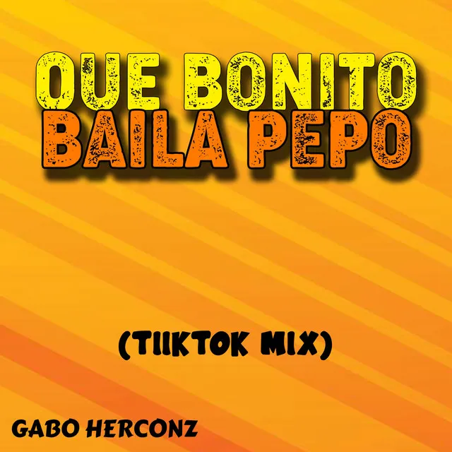 QUE BONITO BAILA PEPO - TIIKTOK MIX