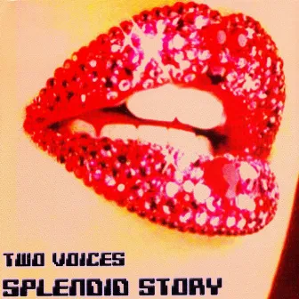 Splendid Story by Two Voices