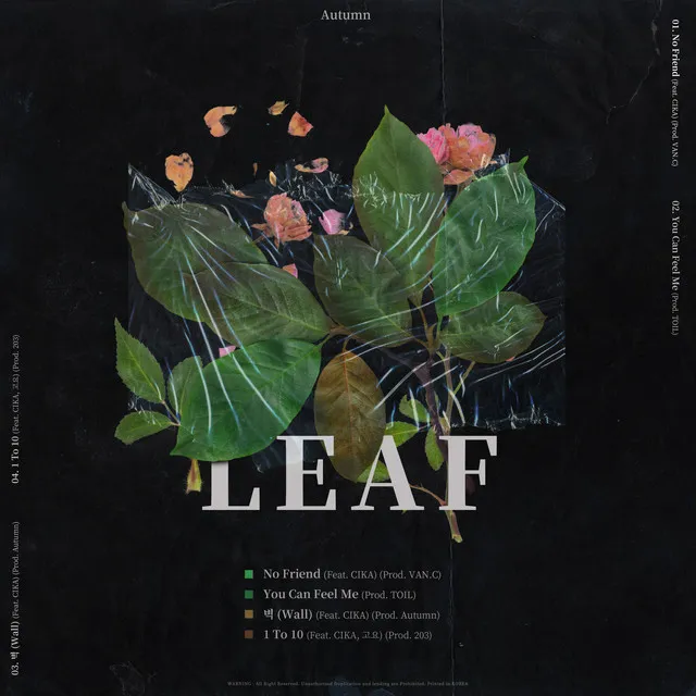 Leaf