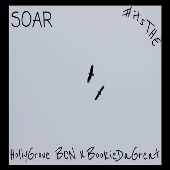 Soar by BookieDaGreat