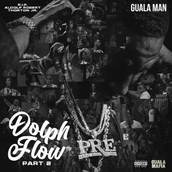 Dolph Flow, Pt. 2 by Guala Man