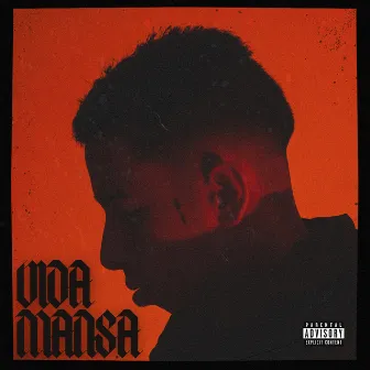 Vida Mansa by c4