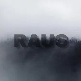 RAUS by tlm