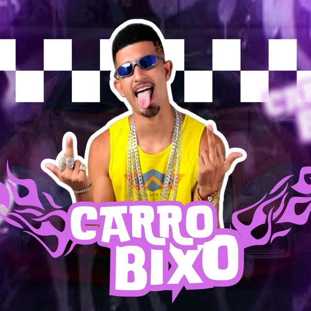 Carro Bixo