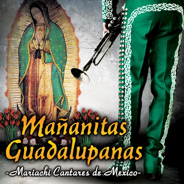 Apariciones Guadalupanas