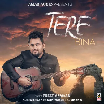 Tere Bina by Preet Armaan