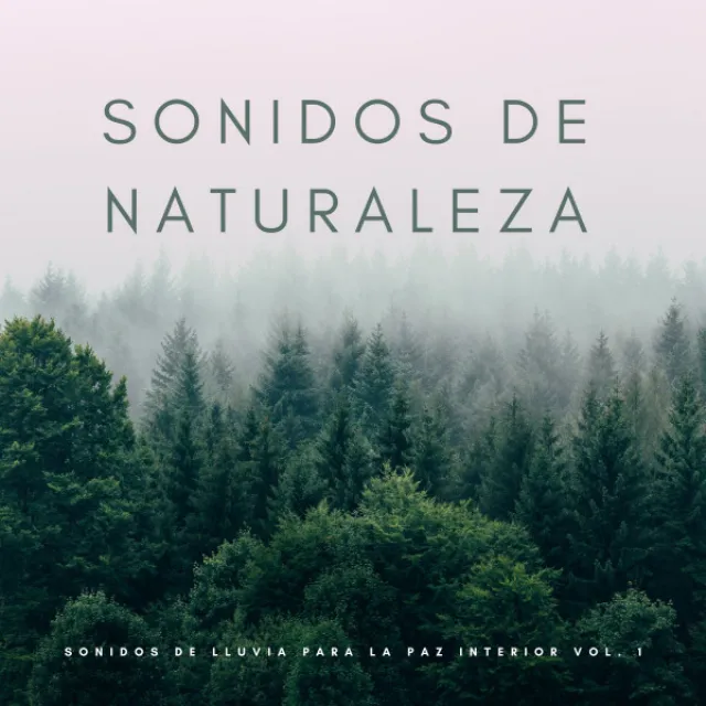 Sonidos De Naturaleza: Sonidos De Lluvia Para La Paz Interior Vol. 1