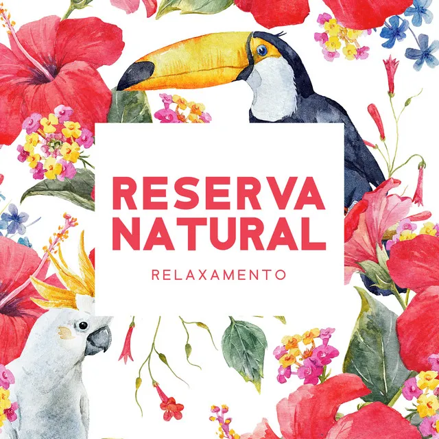 Reserva Natural: Relaxamento Profundo com Sons de Pássaros