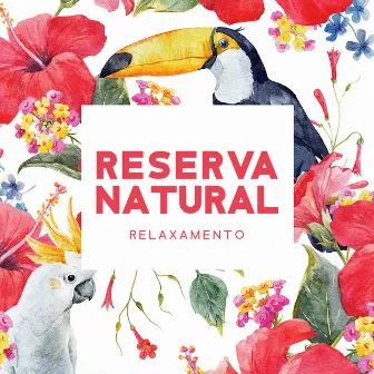 Reserva Natural: Relaxamento Profundo com Sons de Pássaros by Relaxar Meditação Clube