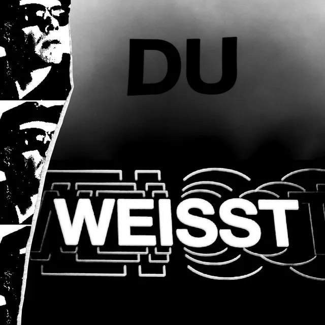 Du weißt (feat. Pronto) (Remix)