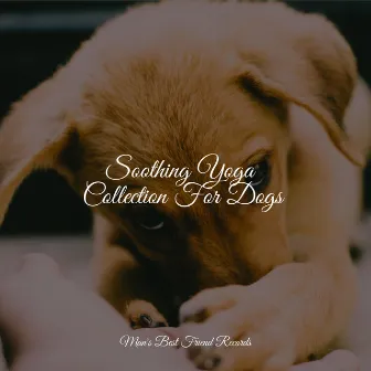 Soothing Yoga Collection For Dogs by Deep Sleep