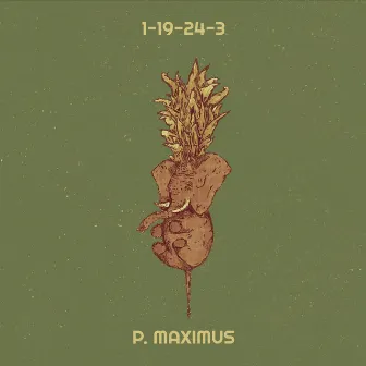 1-19-24-3 by P. Maximus