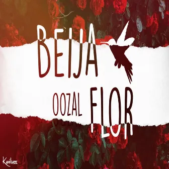 Beija Flor by Oozal