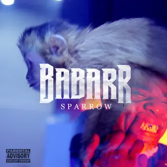 Sparrow by Babarr