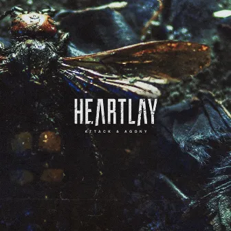 Attack & Agony by Heartlay