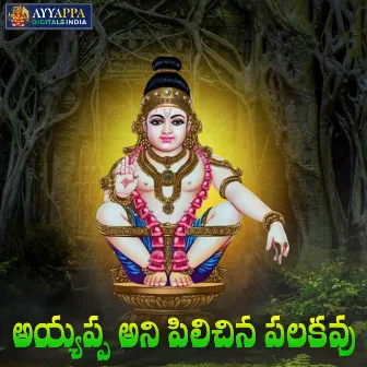 Ayyappa Ani Pilichina Palakavu by Swamy