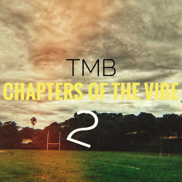 Chapters of the Vibe 2