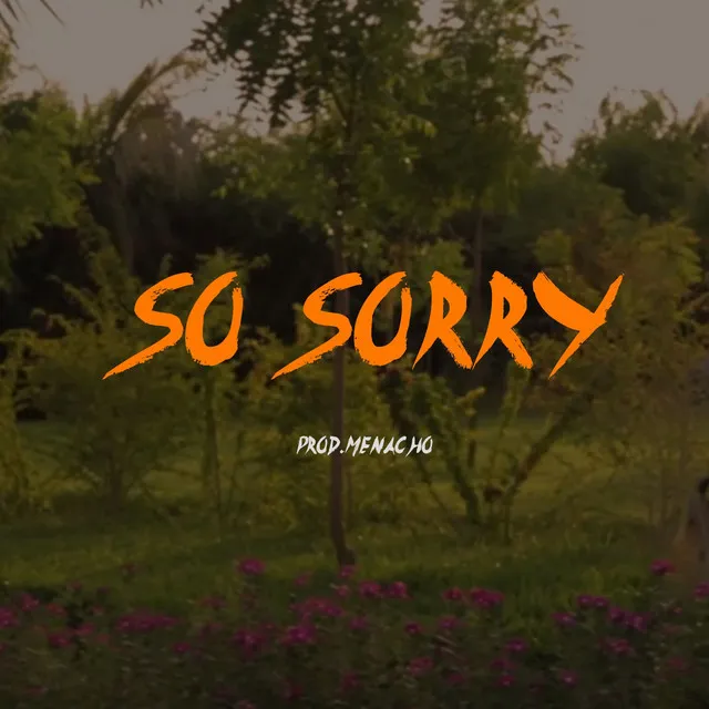 So Sorry