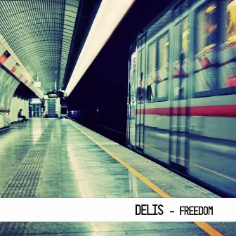 Freedom (Radio Edit) by Delis