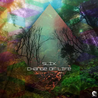 Change Of Life by Slix