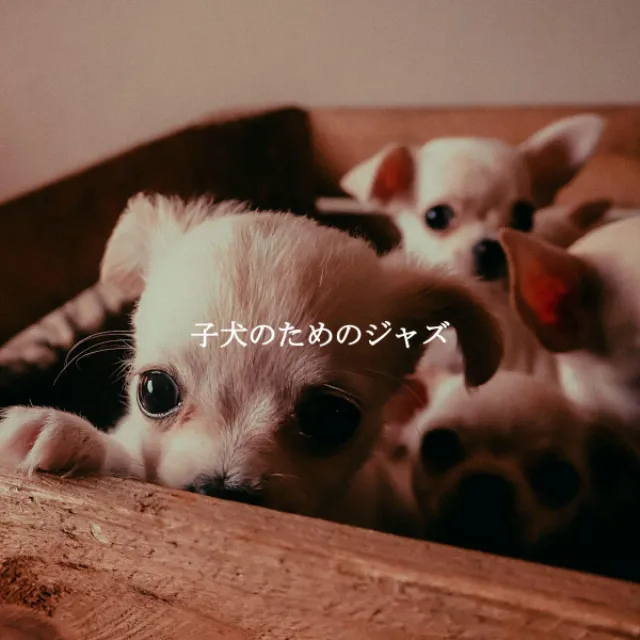 子犬のためのジャズ