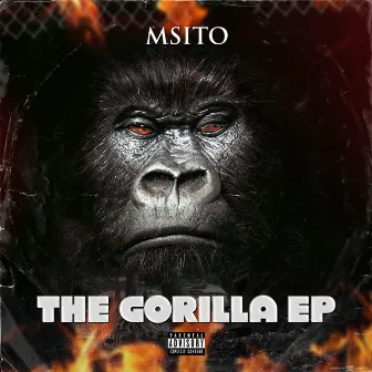 THE GORILLA EP by Msito