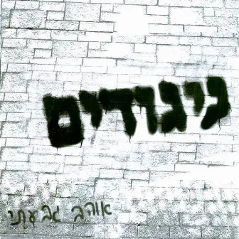 ניגודים by Ohav