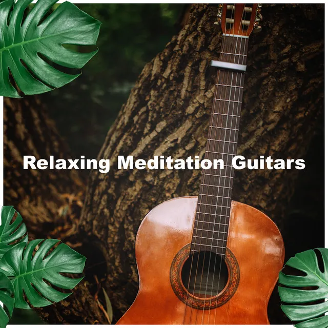 Relaxing Meditation Guitars