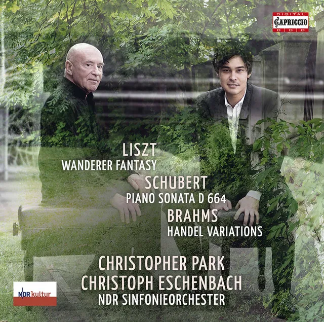 Wanderer Fantasy, S. 366 (After Schubert's Op. 15): I. Allegro con fuoso ma non troppo