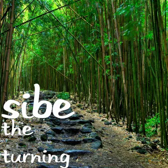 The Turning by Sibe