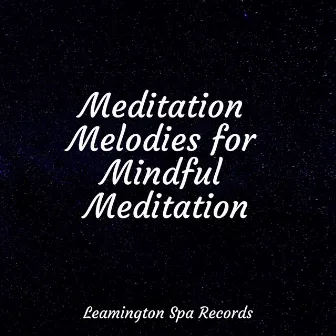 Meditation Melodies for Mindful Meditation by Tranquil Music Sounds of Nature