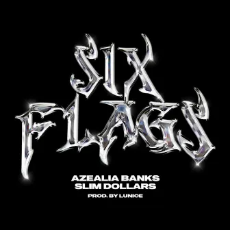 Six Flags by Slim Dollars