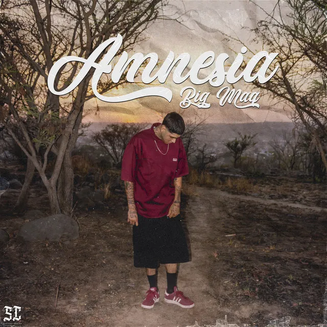 Amnesia