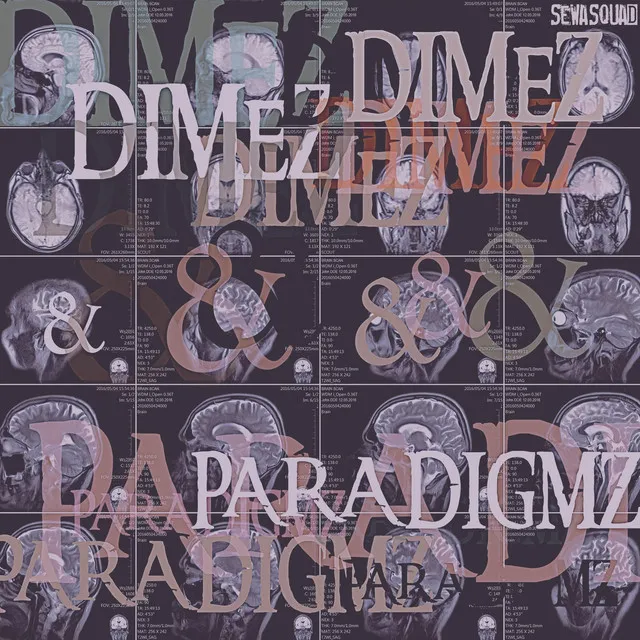 Dimez & Paradigmz