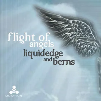 Flight of Angels by Berns